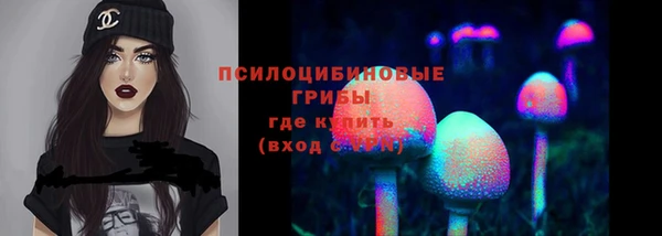 не бодяженный Алексин