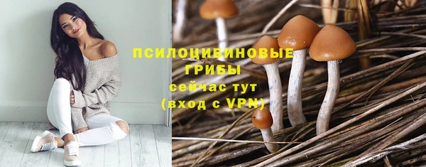 соль курить ск Алзамай