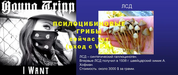 соль курить ск Алзамай